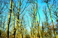 /album/www-pix-fx-de/bild-734-jpg/